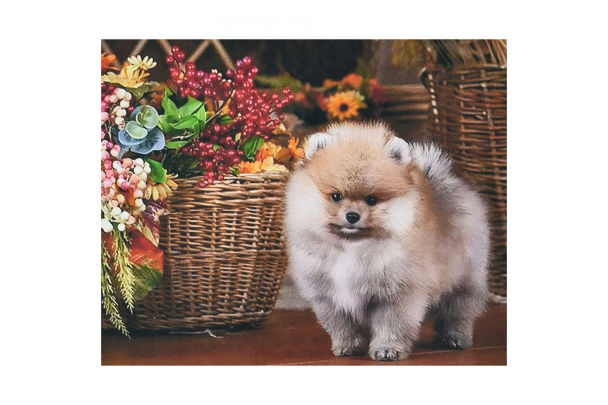 Алмазная мозаика Алмазная мозаика