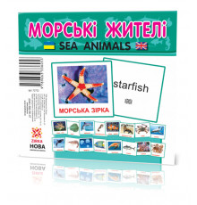 Розвиваючі картки 