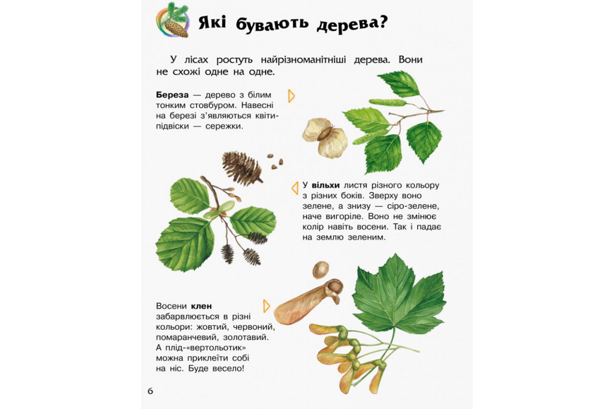 Дитяча енциклопедія про ліс 614016 для дошкільнят Дитяча енциклопедія про ліс 614016 для дошкільнят