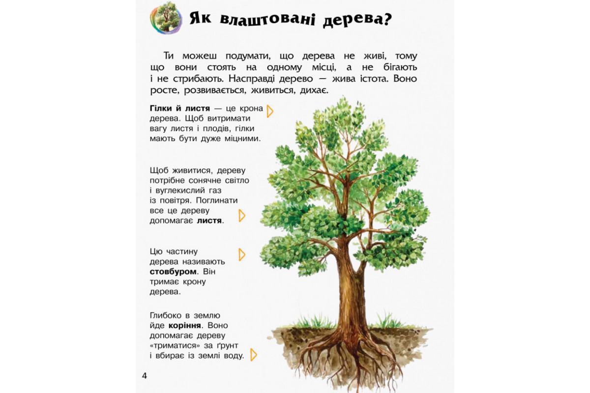 Дитяча енциклопедія про ліс 614016 для дошкільнят Дитяча енциклопедія про ліс 614016 для дошкільнят