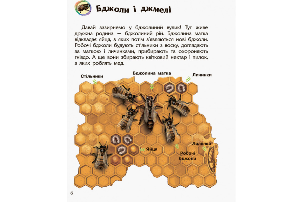 Дитяча енциклопедія про комах 614014 для дошкільнят Дитяча енциклопедія про комах 614014 для дошкільнят