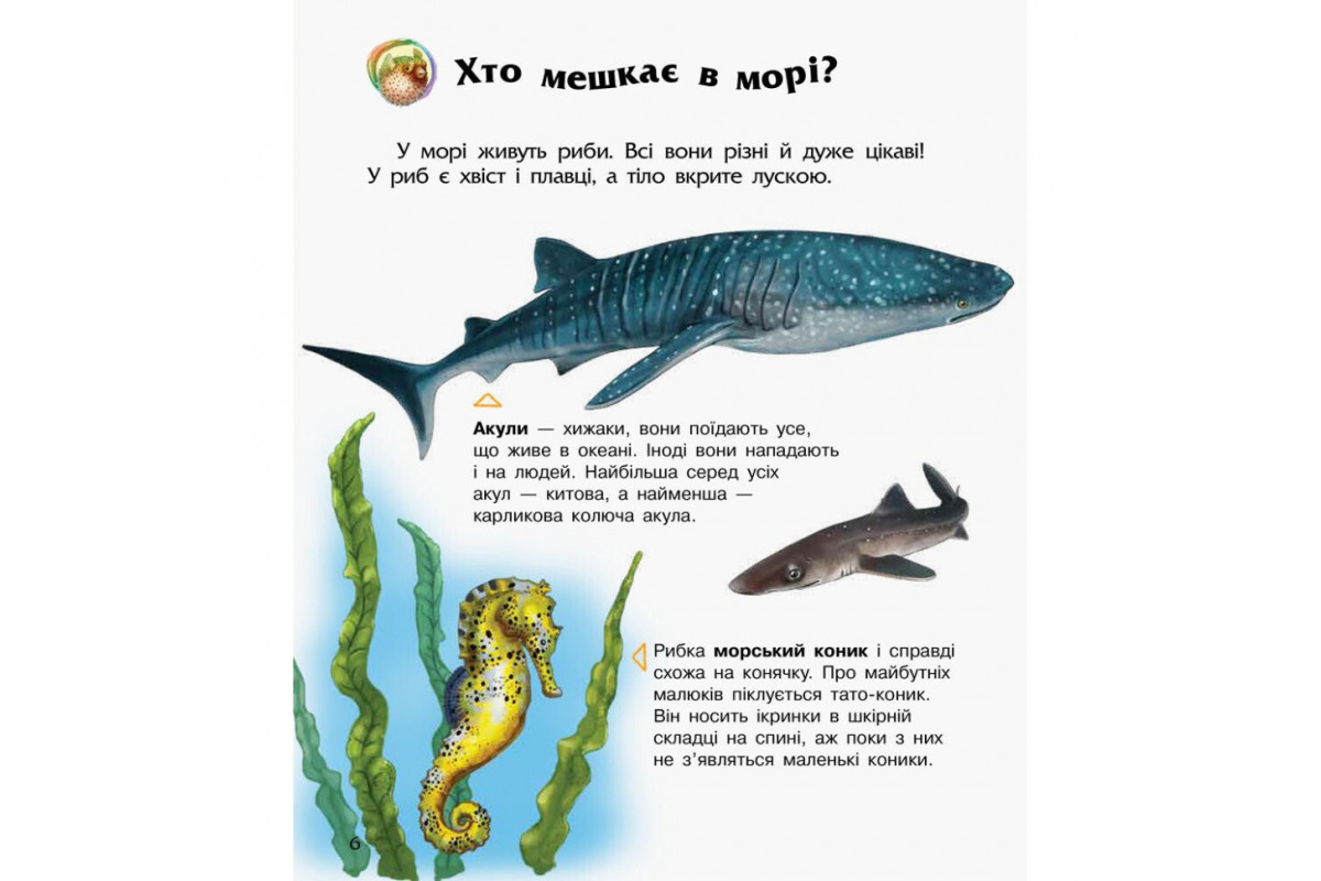 Энциклопедия дошкольника Океаны и моря 614055 для самых маленьких Энциклопедия дошкольника Океаны и моря 614055 для самых маленьких