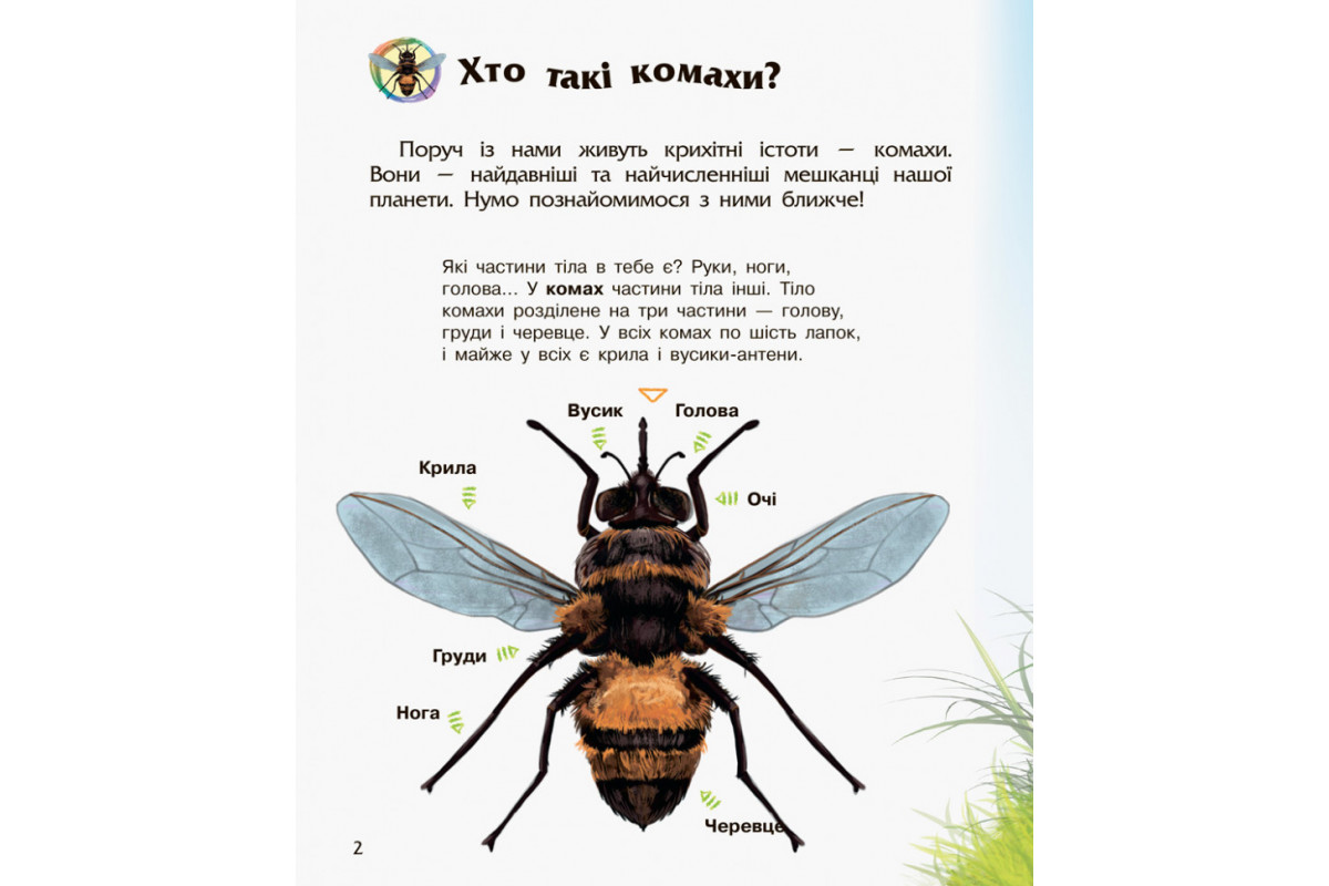 Дитяча енциклопедія про комах 614014 для дошкільнят Дитяча енциклопедія про комах 614014 для дошкільнят