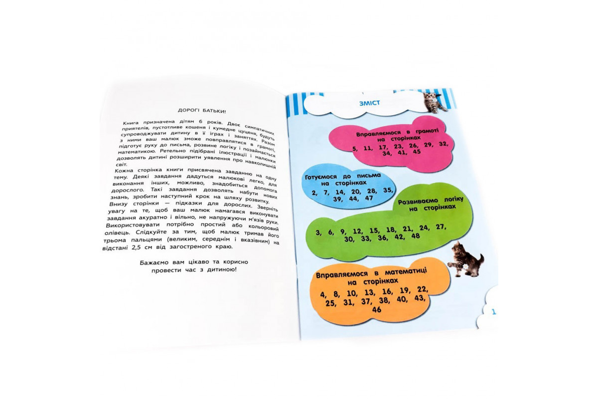 Навчальна книга Кмітливчики для малюків 6 років 108203 Навчальна книга Кмітливчики для малюків 6 років 108203