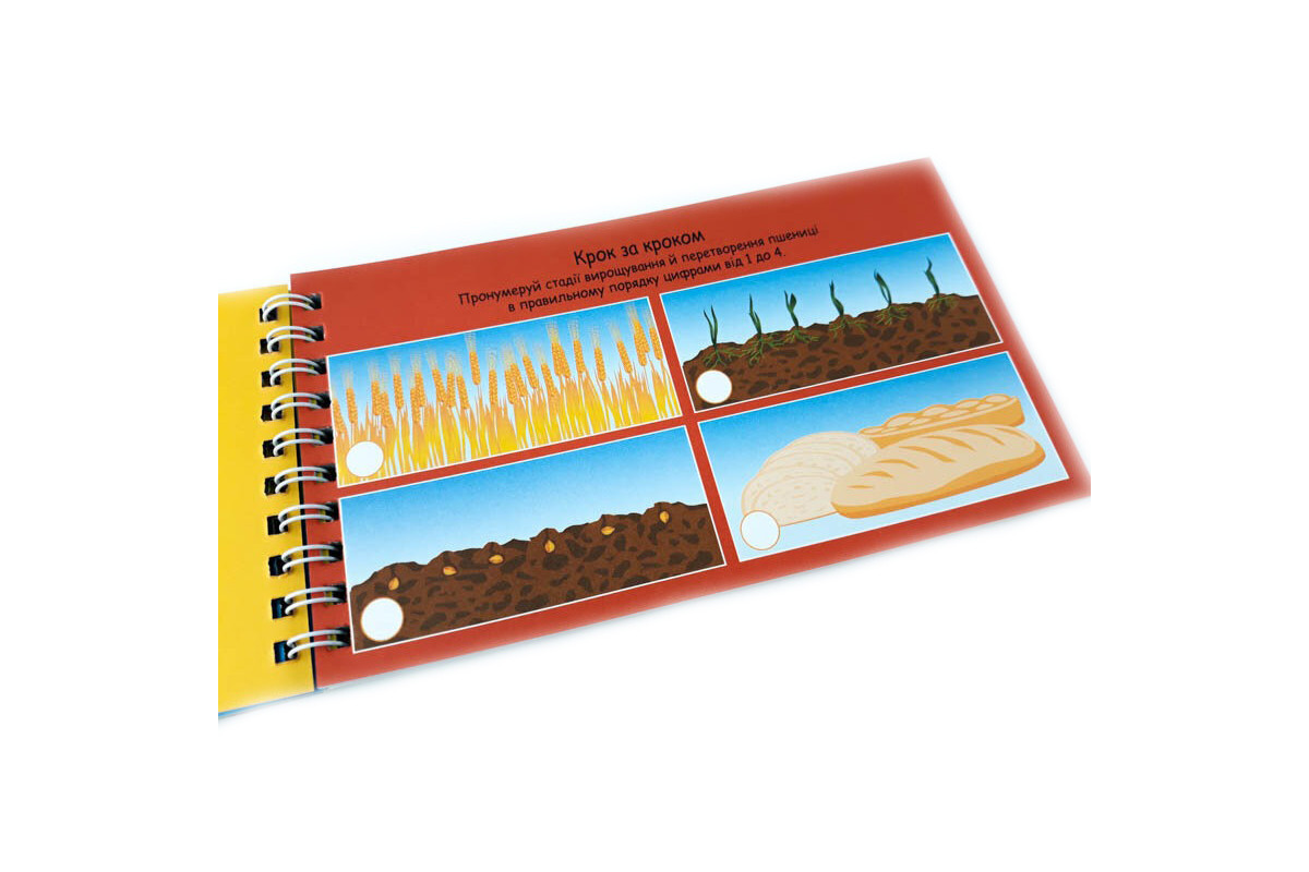 Навчальна книга Цифри 4+ Грайки 123003 Навчальна книга Цифри 4+ Грайки 123003