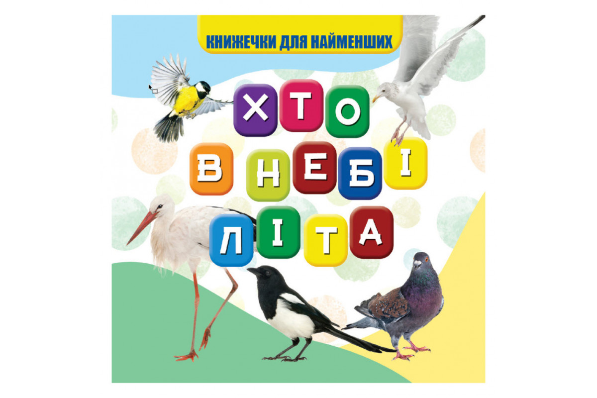 Моя первая книжечка Кто в небе летает VR06041708, 10 страниц