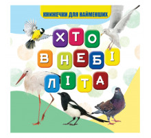 Моя первая книжечка Кто в небе летает VR06041708, 10 страниц