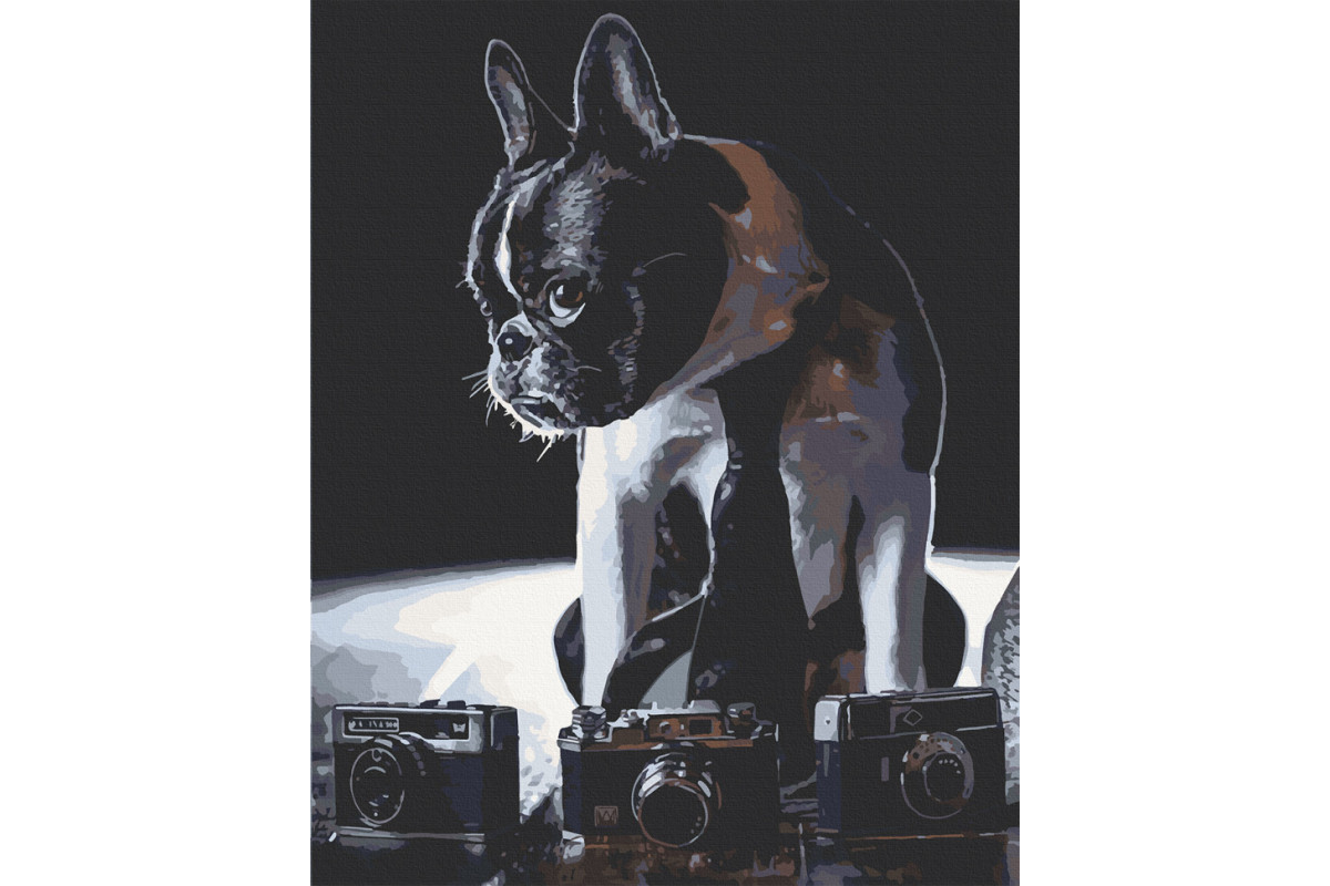 Картина по номерам. Art Craft Застенчивый фотограф 40х50 см 11642-AC Картина по номерам. Art Craft Застенчивый фотограф 40х50 см 11642-AC