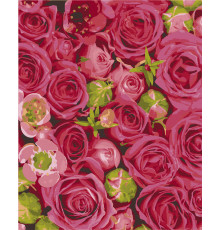 Картина по номерам. Art Craft Леди Бомбастик 40х50 см 13122-AC