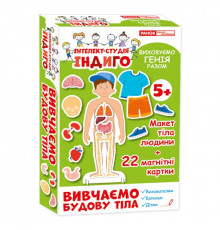 Дитяча розвиваюча гра на магнітах. Вивчаємо будову тіла 13109081, 22 картки в наборі