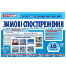 Дидактичний матеріал "Зимові спостереження" 13107147, 16 карток