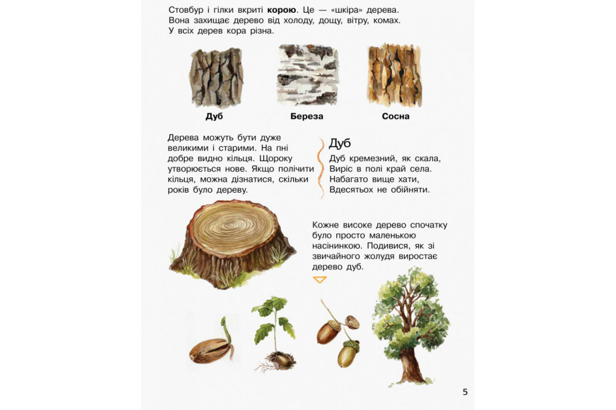 Дитяча енциклопедія про ліс 614016 для дошкільнят