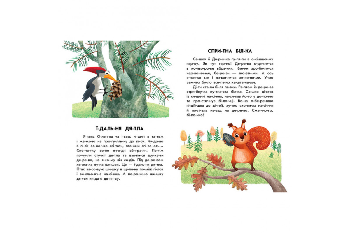 Книги для дошкольников "Ловкая белка" 271028, 10 ис-то-рий по скла-дам