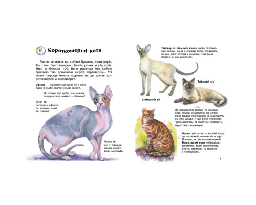Енциклопедія дошкільника "Коти" 614039 для найменших