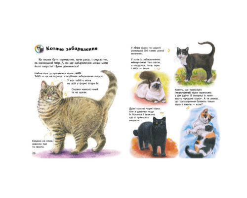 Енциклопедія дошкільника "Коти" 614039 для найменших