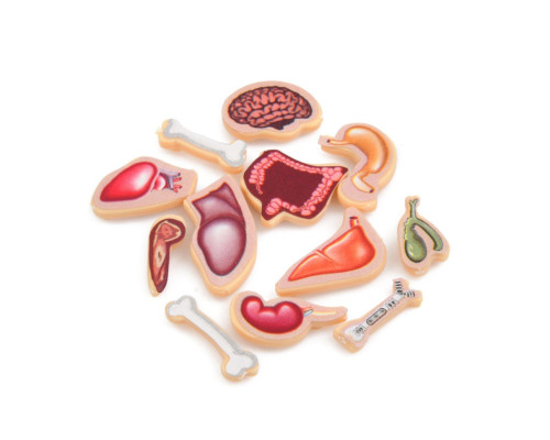 Детская настольная игра "Crazy Doctor" 1295-3 игровое поле, рулетка