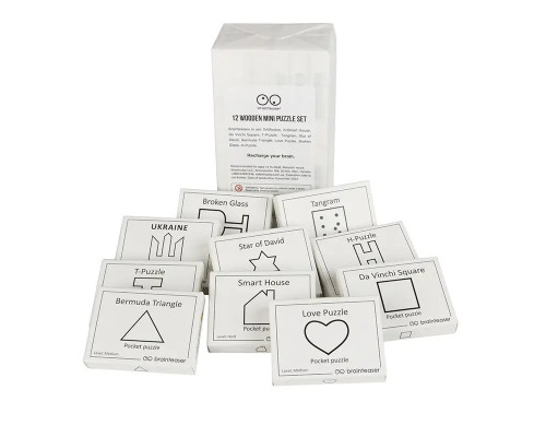 Набір дерев'яних головоломок "Wooden mini puzzle set" Заморочка 12en