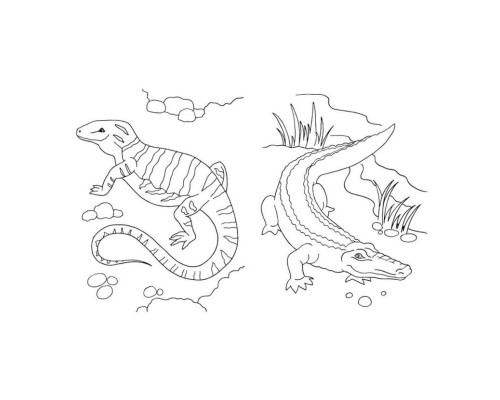 Велика книга розмальовок Тварини 1736002, 64 сторінки