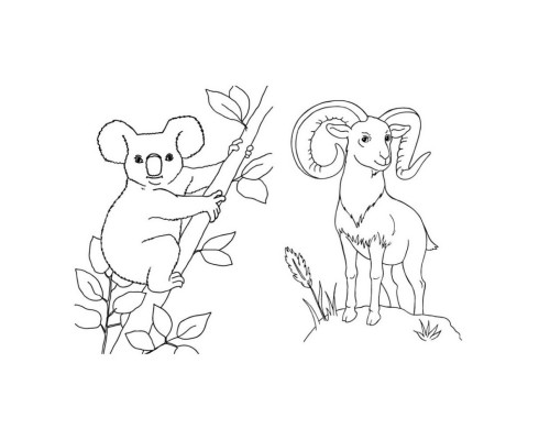 Велика книга розмальовок Тварини 1736002, 64 сторінки