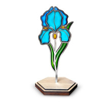 Набір для вітражного живопису за номерами "Ніжний ірис" FDSGK-013