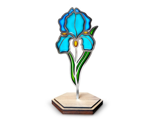 Набор для витражной живописи по номерам "Нежный ирис" FDSGK-013