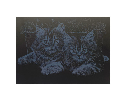 Гравюра А4 "Коти" ГрА4-13с економ варіант в пакеті 29,7х21 см
