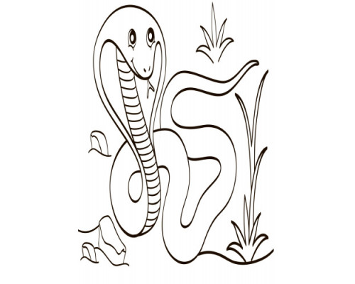 Дитяча водна розмальовка: Екзотичні тварини 734012, 8 сторінок