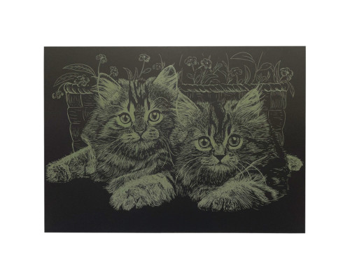 Гравюра А4 "Коти" ГрА4-13з економ варіант в пакеті 29,7х21 см