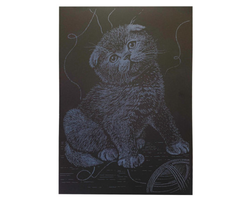 Гравюра А4 "Кіт" ГрА4-18с економ варіант в пакеті 29,7х21 см