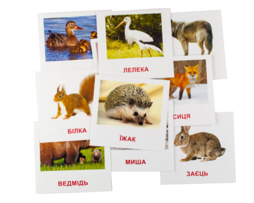 Развивающие карточки "Лесные жители" (110х110 мм) 66425 на укр./англ. языке