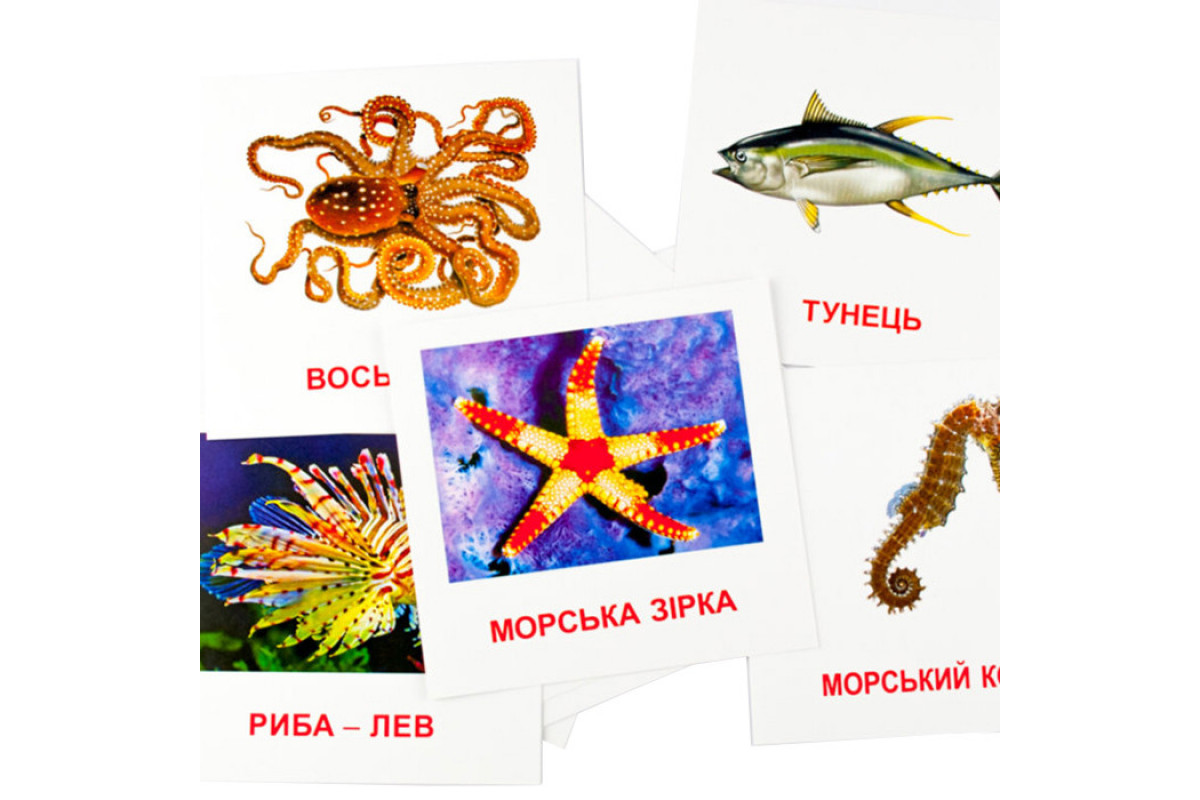 Развивающие карточки "Морские жители" (110х110 мм) 72752 на укр./англ. языке Развивающие карточки "Морские жители" (110х110 мм) 72752 на укр./англ. языке