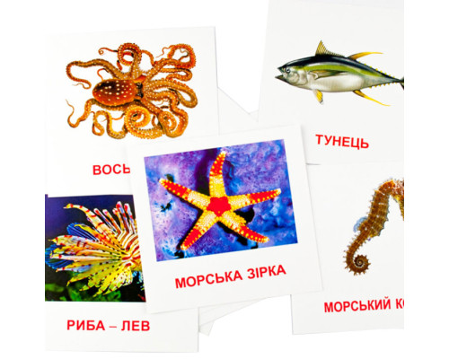 Развивающие карточки "Морские жители" (110х110 мм) 72752 на укр./англ. языке