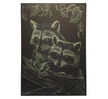 Гравюра А4 "Єнот" ГрА4-16з економ варіант в пакеті 29,7х21 см