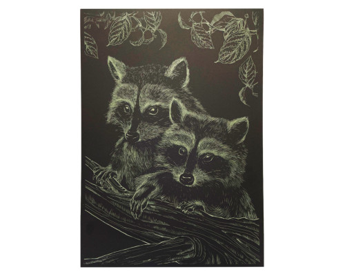 Гравюра А4 "Єнот" ГрА4-16з економ варіант в пакеті 29,7х21 см