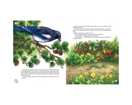 Дитяча книжка Хвости. Найперший детектив 253646, 40 сторінок