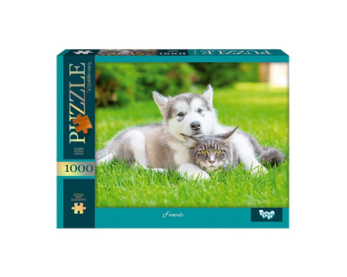 Пазл "Друзі" C1000-13-05, 1000 елементів