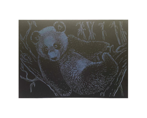 Гравюра А4 "Ведмідь" ГрА4-17с економ варіант в пакеті 29,7х21 см