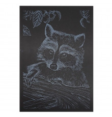 Гравюра А5 "Єнот" ГрА5с-24 економ варіант у пакеті 21 х 14,8 см