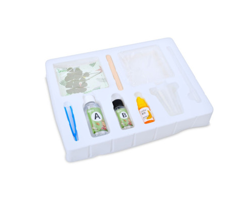 Детский набор для творчества "Cухоцвет" FG231102005M, пинцет, краска, застывающая жидкость