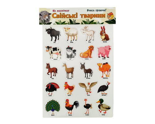 Набір магнітів "Домашні тварини" Artos 1243 Укр. 20 шт.