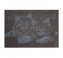 Гравюра А5 "Котики" ГрА5с-20 економ-варіант у пакеті 21 х 14,8 см