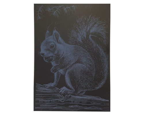Гравюра А4 "Білка" ГрА4-1с економ варіант в пакеті 29,7х21 см