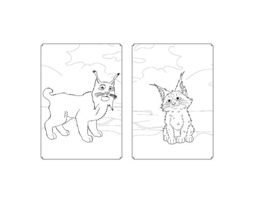 Розмальовка Магія кольору. Магічний Ліс Ранок 1807003 з наклейками