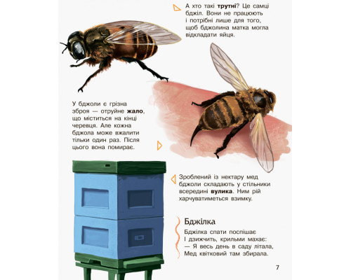 Детская энциклопедия про насекомых 614014 для дошкольников