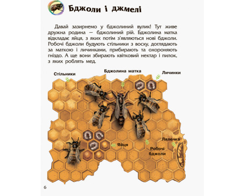 Детская энциклопедия про насекомых 614014 для дошкольников