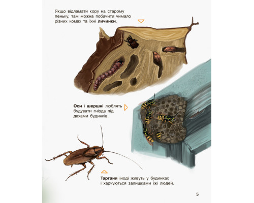 Детская энциклопедия про насекомых 614014 для дошкольников