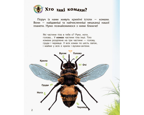 Детская энциклопедия про насекомых 614014 для дошкольников