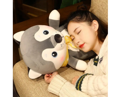 Дитяча м'яка іграшка "Собачка" L1131 іграшка з пледом, розмір 50 см