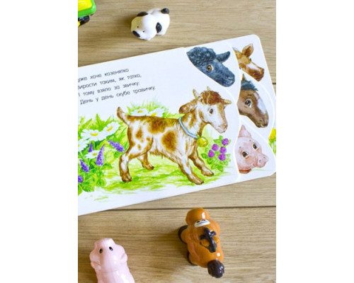 Картонки-розвивайки 410023 Перші кроки. На фермі