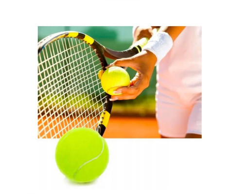Набір м'ячів для великого тенісу SWDN Tennis Ball NE-TT-12 в чохлі 12 штук